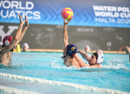 balsa-vuckovic-crna-gora-francuska