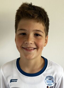 Sava konstatinovic