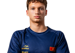 Dimitrije Milić