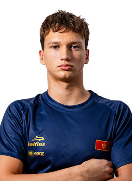Dimitrije Milić